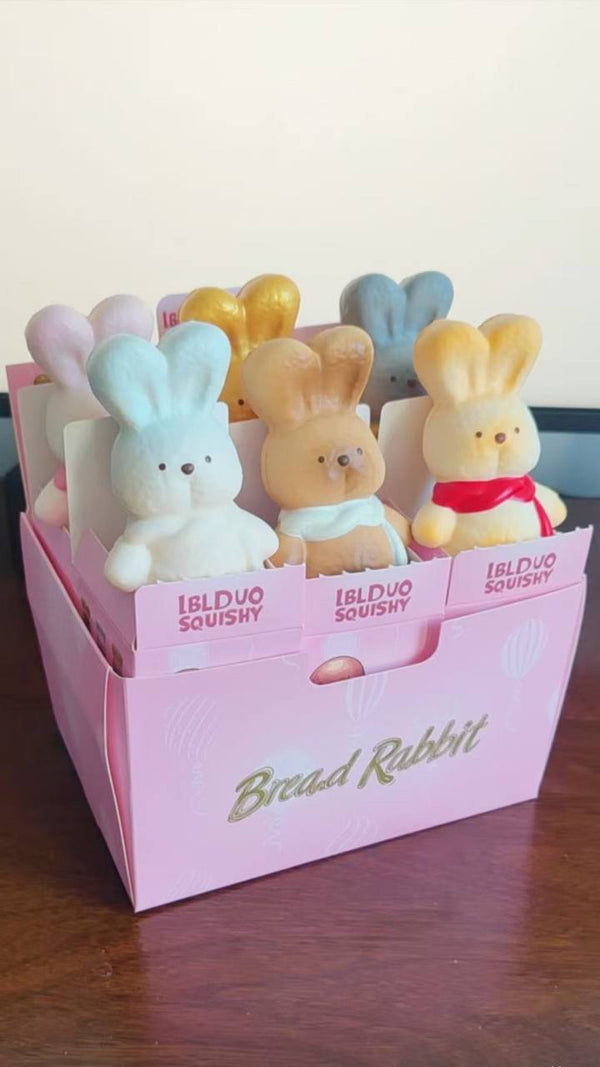 Lbld Rabbit Blind Box Squishy